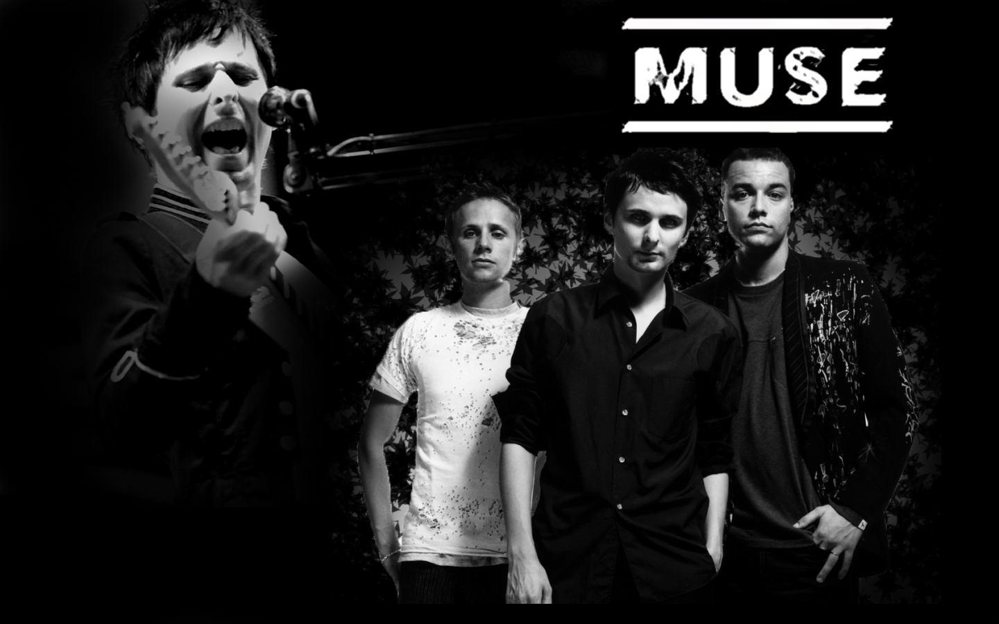 Muse: vuelta a los orígenes y nuevo tema