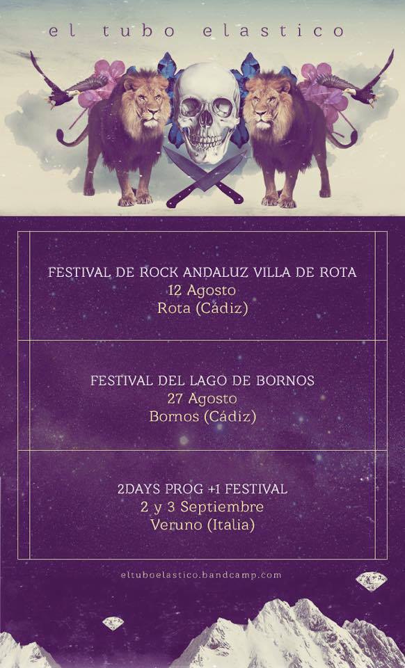 13820933_10210647253683823_2037812965_n