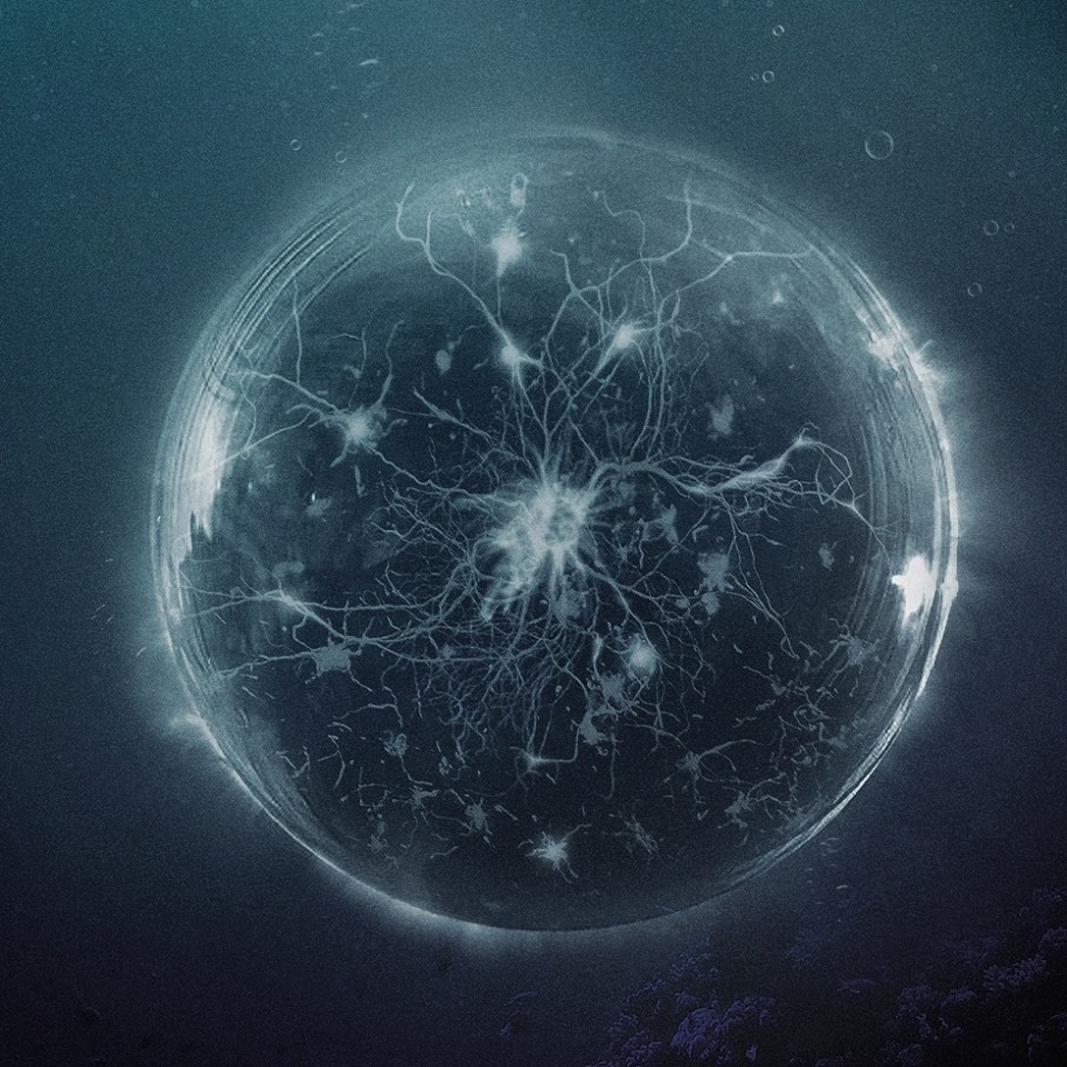 dCoded – ‘Synapse’ (2016)