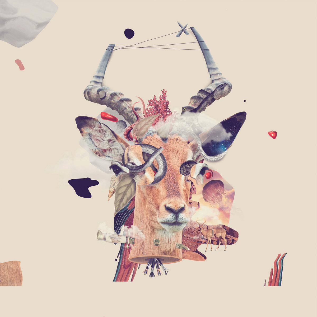 Reseña de El Tubo Elástico – ‘Impala’ (2018)